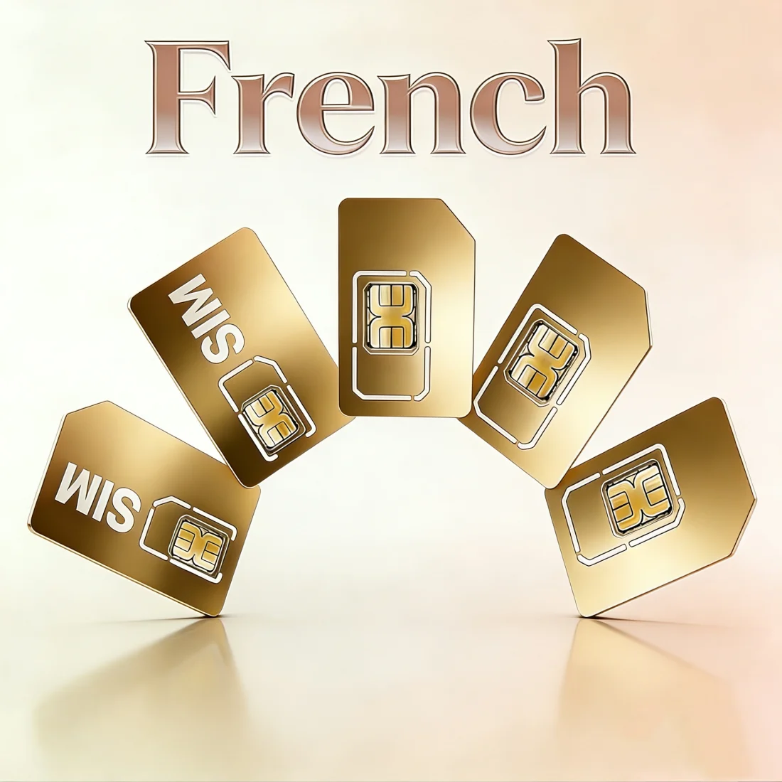 GPS Tracker 4G SIM Card, Pet Positioning Collar, France IoT Device, 500MB European Roaming Data, 365 Day Service