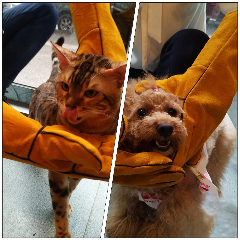 

1Pcs Durable Pet Training Gloves Protective Anti-Bite Gloves Thickened Hand Cover for Parrot Feeding Training Protective Glove