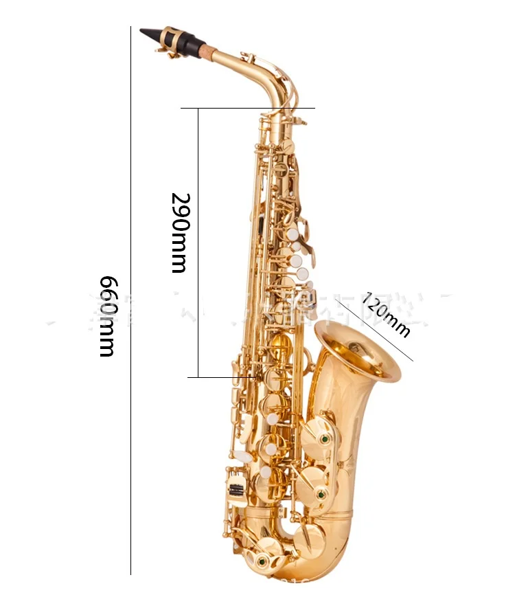 

E Flat Alto Saxophone Electrophoresis Gold Saxophone