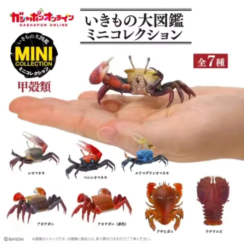 Bandai Twisted Egg, Mini, Biological Big Picture, Crustacean 1 Crab, Pipa Shrimp Ash Crab