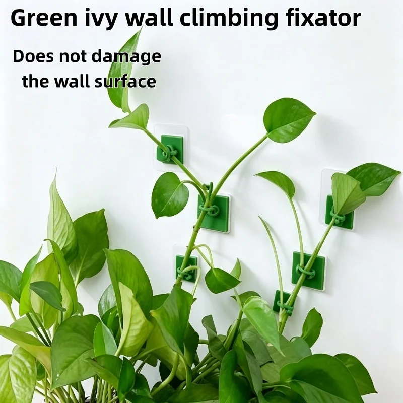 10/20Pcs Plant Climbing Wall Fixture Clips Self Adhesive Vine Fixer Hook Support Buckle for Garden Pothos