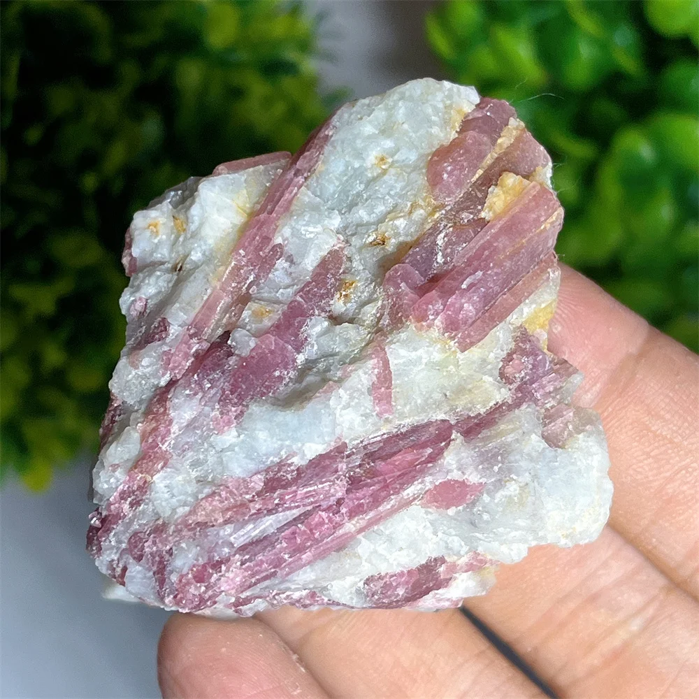 Crystal Naturtal Specimen Red Tourmaline Healing Gemstone Ornaments Carving Mineral Decoration Energy Room Gift Home