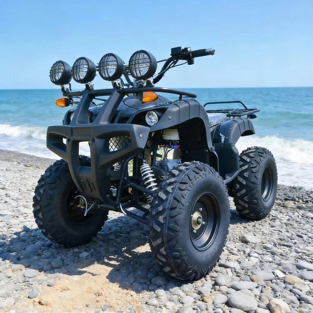 Tc Raxen adult electric four-wheeler 2000w 60v exclusive supply, smooth handling