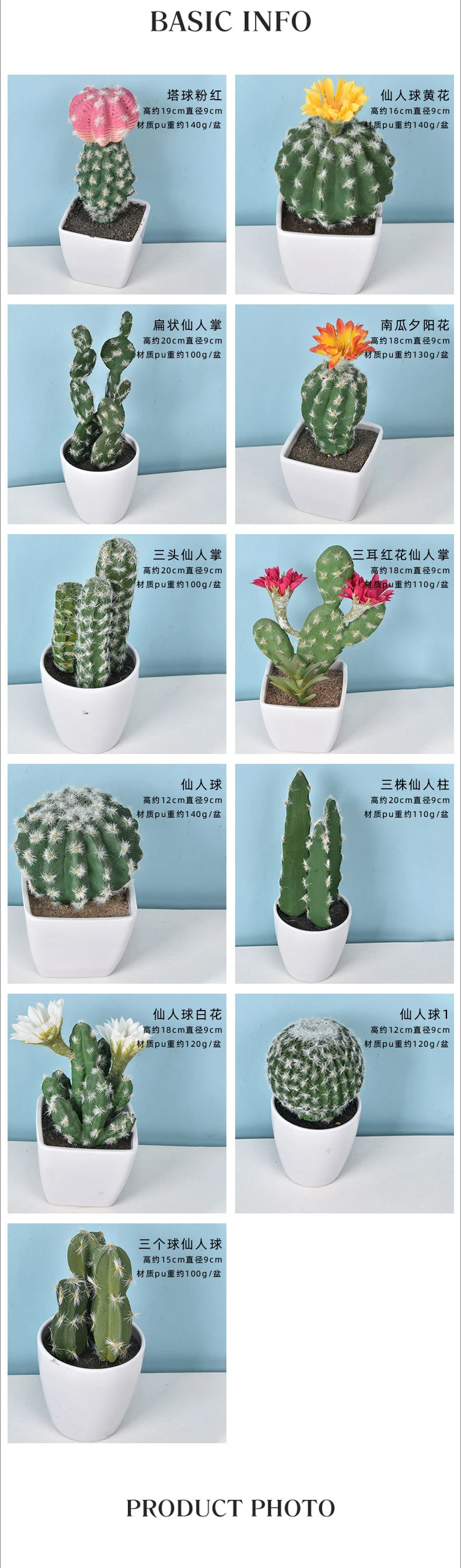 kaktus mit roten kopf Melocactus azureus | Botanical Archive