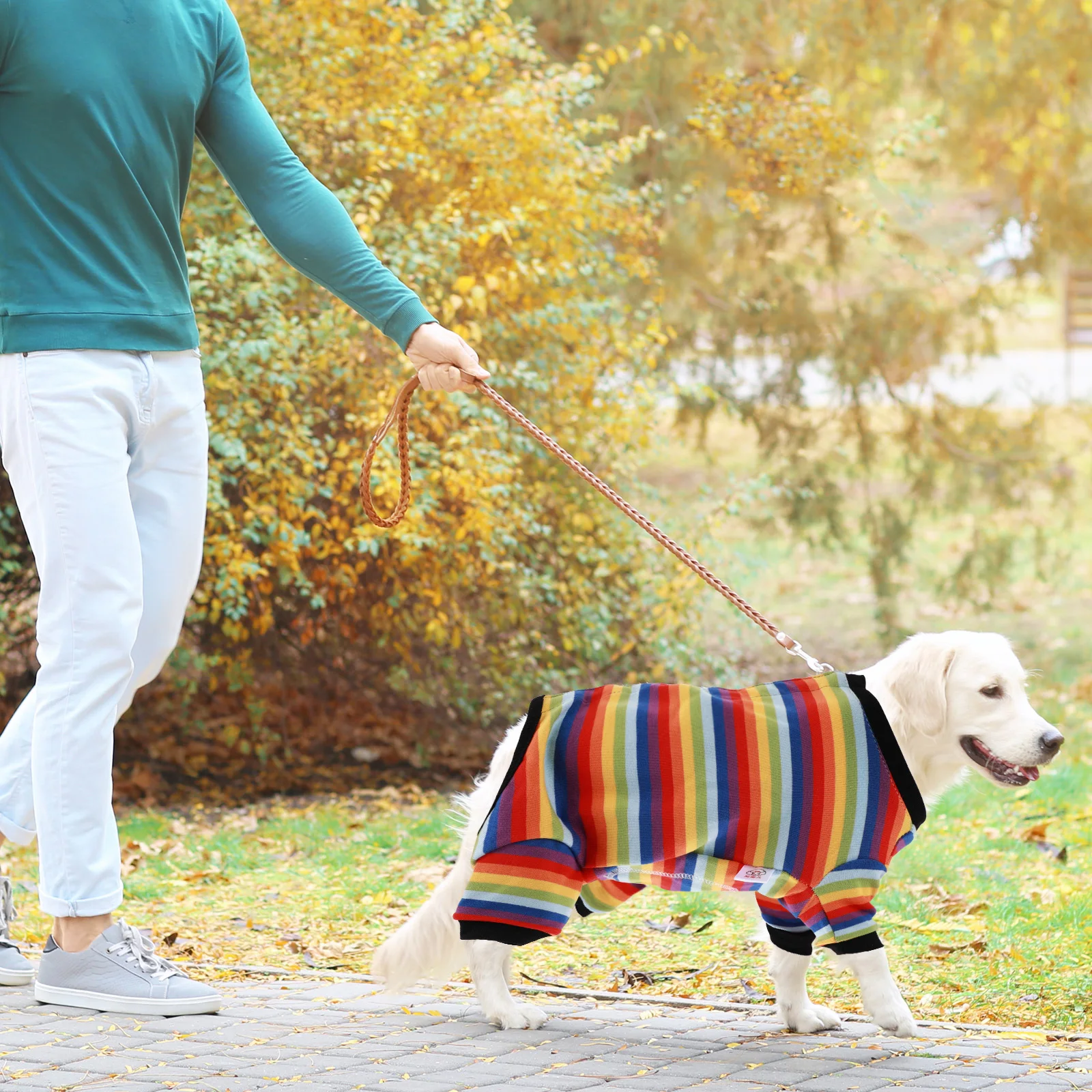 

Anti Scratch Dog Surgical Suit Puppy Sterilization Clothes Pet After Surgery Apparel Protective Coat Prevent Licking Wounds Skin