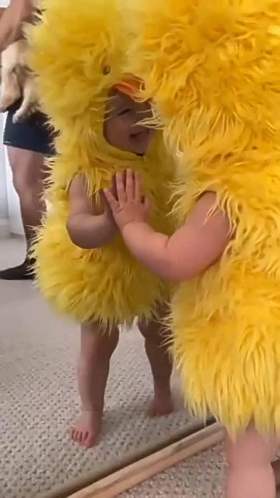 Рисунок 6 - Очаровательный костюм детской утки