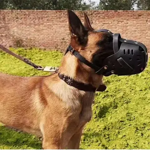 Couvre-bouche en cuir pour animaux de compagnie, muselières pour chiens, masques de défense d'entraînement, kits de contribuables allemands, anti-morsure pour chiens DobSuffolk