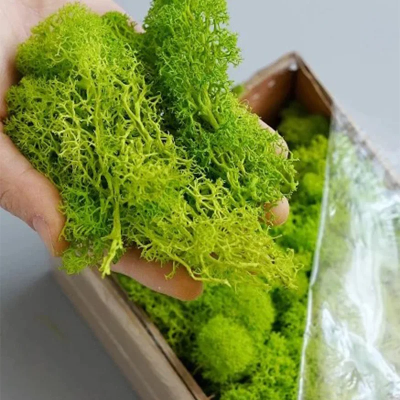 20/40/80g DIY Crafts Home Artificial Green Plants Eternal Life Moss Grass Family Room Garden Decor Mini Landscape Fake Grass