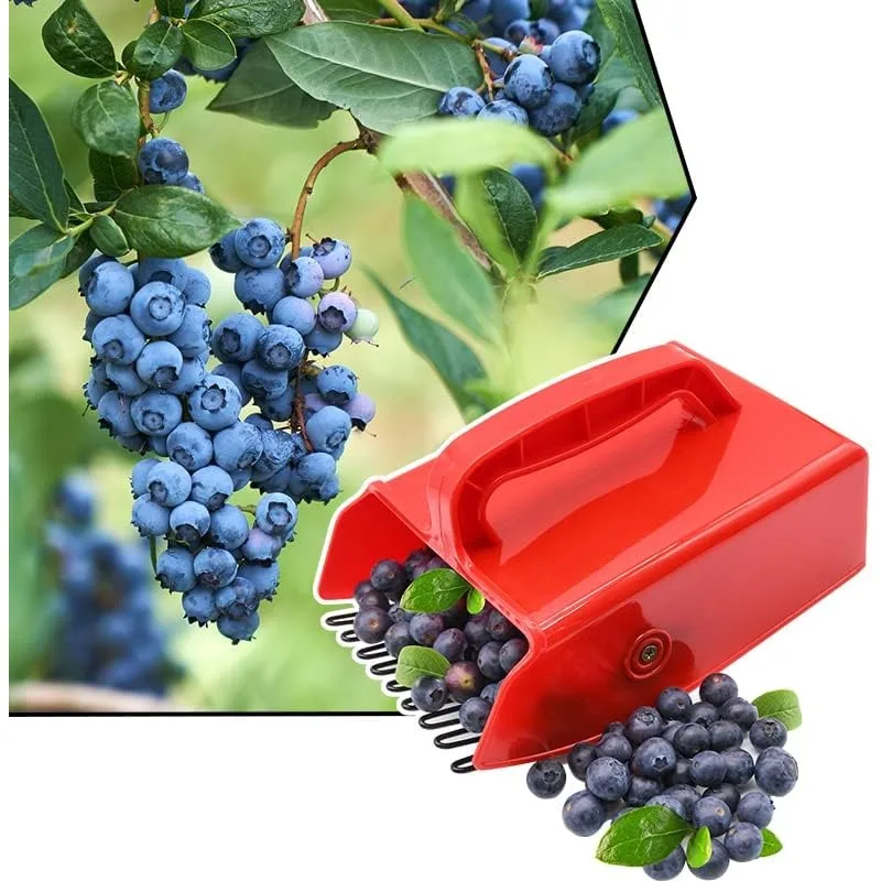 Berry Picker Tool Plastic Rake Comb for Blueberries Lingonberries and Huckleberries Won't Damage Fruit or Plants Protects Hands