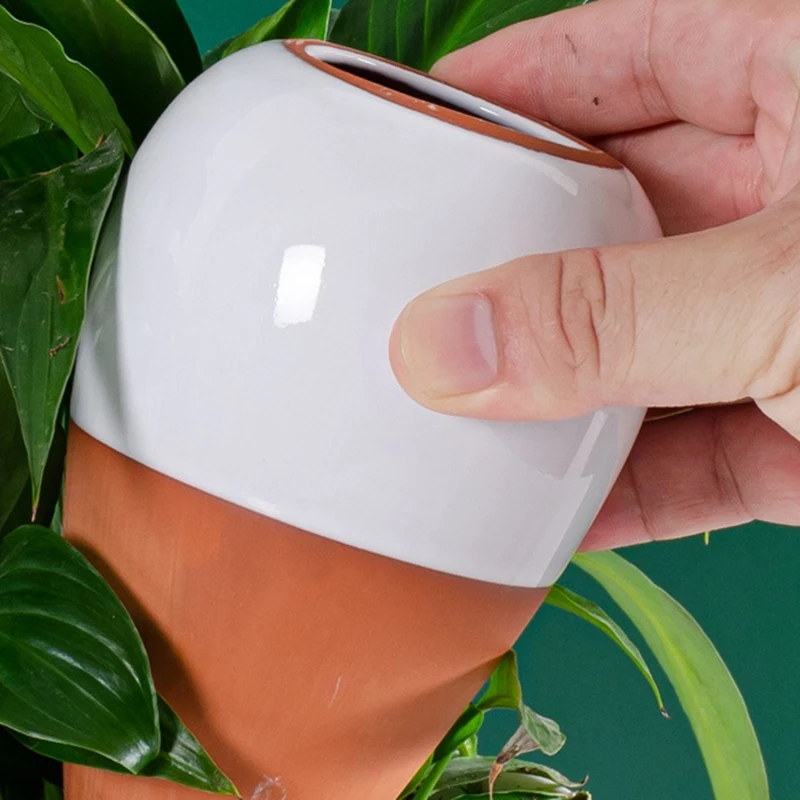 Bola regando planta de terracota, regando pode, liberação lenta, auto regando Spike, 16 onças, 4pcs