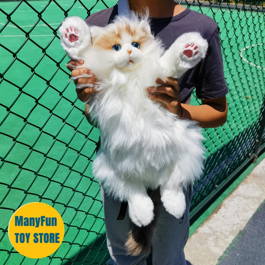 Ragdoll-Sac à Dos en Peluche pour Chat Perse, Marionnette Réaliste, Animaux en Peluche, Chiffon au Beurre, Célébrité