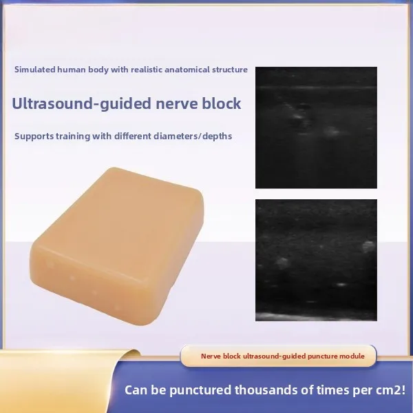 Neuroanesthesia block injection training module Ultrasound-guided nerve puncture training model