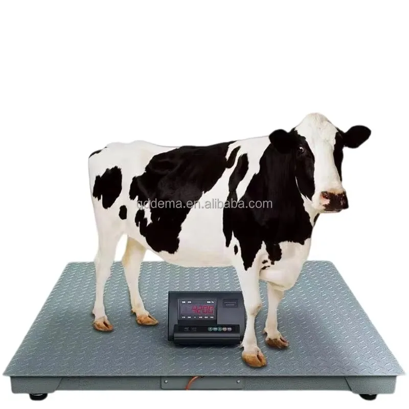 Electronic Digital Cattle Weighing Scale High Precision Livestock Floor Scale for Cattle Calves and Large Animals