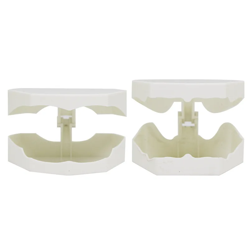 Dental Model Box Dentist Factory Dentistry Mold Box Gypsum Model Boxes Size Dental Mold Turnover Container Packaging Case