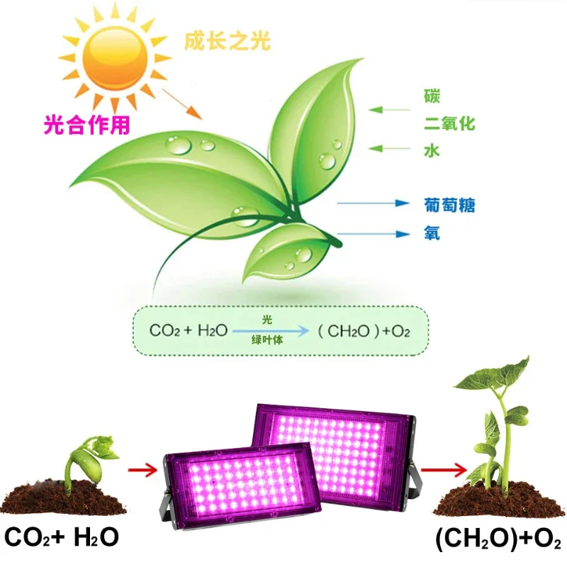 Full Spectrum LED Grow Light Phyto Lamp AC 220V 50W 100W 200W 300W With EU Plug For Greenhouse Hydroponic Plant Growth Lighting