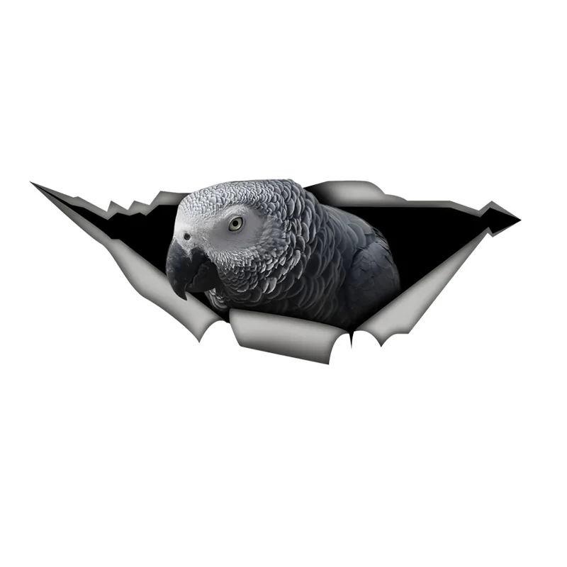 

DK371# Curious Parrot Car Stickers, Waterproof Vinyl Decals, for Car Windows, Car Bumper, Car Body Decorative Accessories