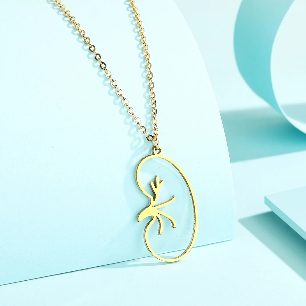 Fashion Kidney Medical Necklace For Women Stainless Steel Pendant Choker Urologist Nephrologist Doctor Jewelry Birthday Gifts - Image 2