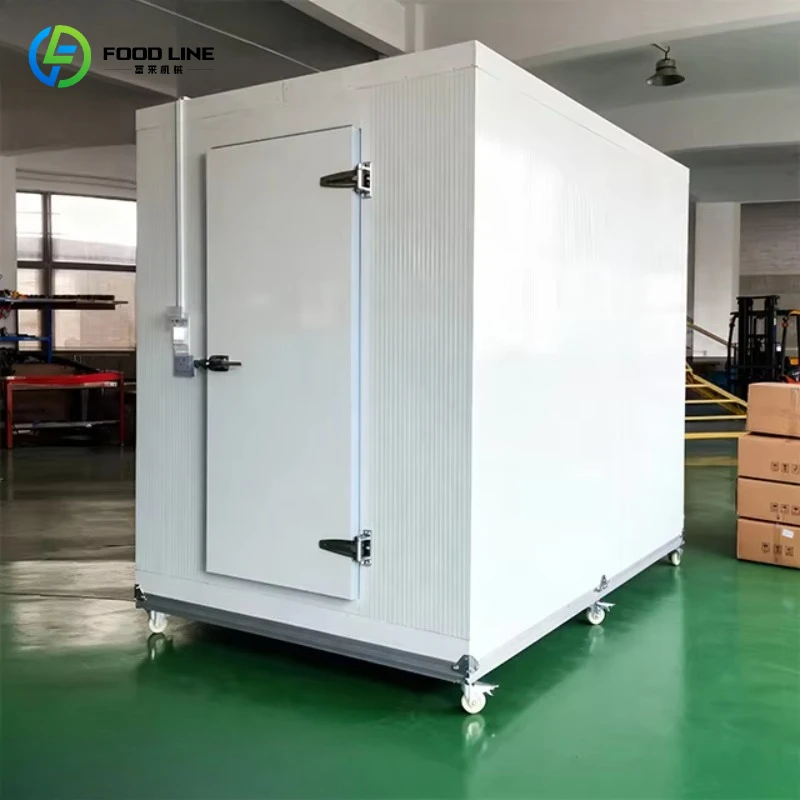 Customized Hot Selling Cold Storage Cold Room Mobile Freezing Cooling Room Good Insulation Effect Walk in Freezer Room