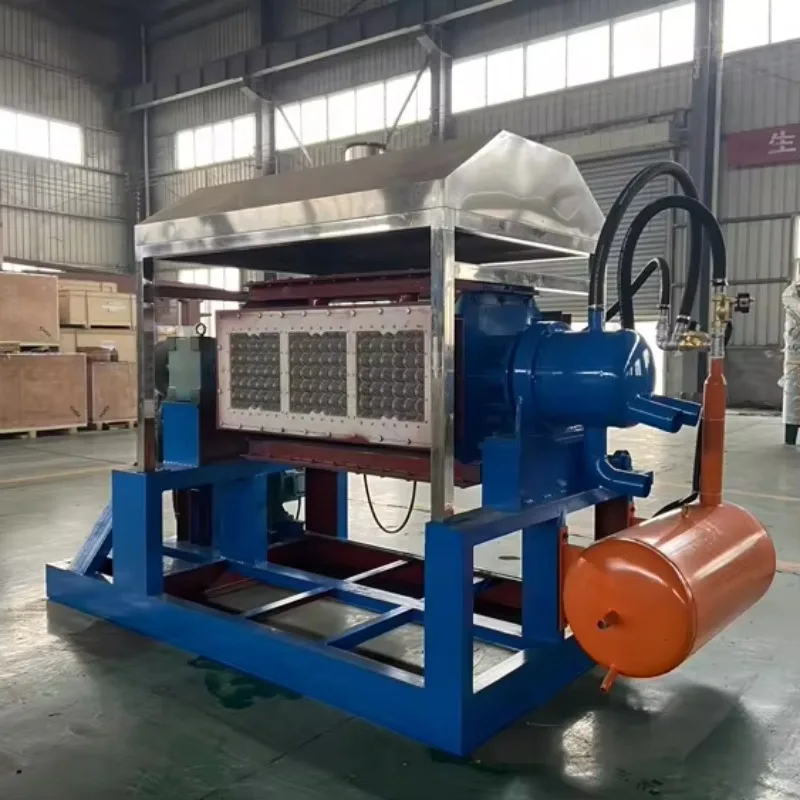

Automatic Paper Pulp Egg Tray Making Machine Egg Carton Making Machine Waste Paper Recycle Line