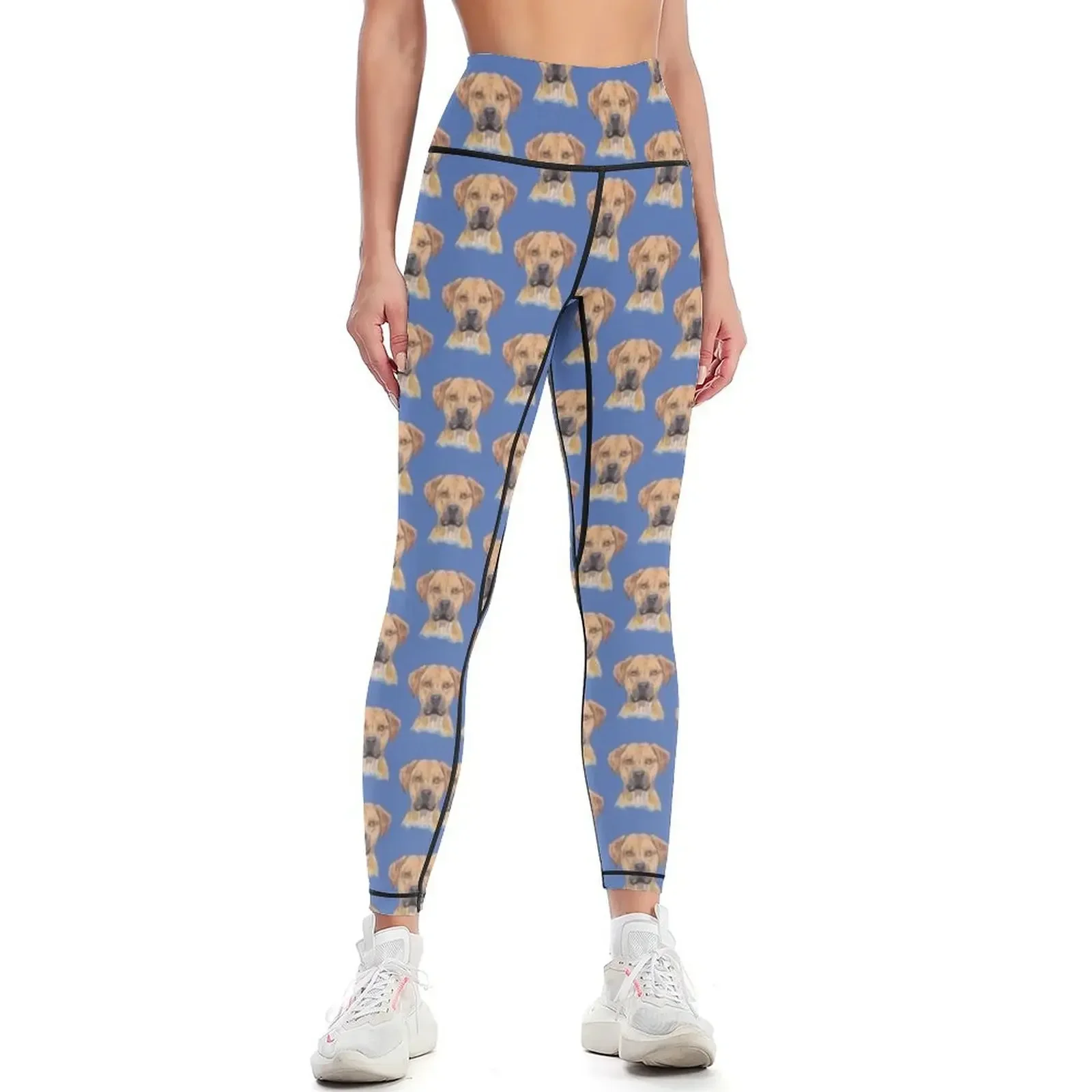 

Rhodesian Ridgeback to Love Leggings legings for fitness fitness set gym gym pants jogging pants Womens Leggings