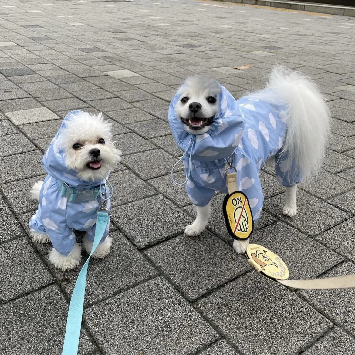 Cute Clouds Love Dog Raincoat Tpu Thickened Waterproof All-Inclusive Rain Poncho Pet Puppy Hooded Four-Legged Coat Dog Clothes