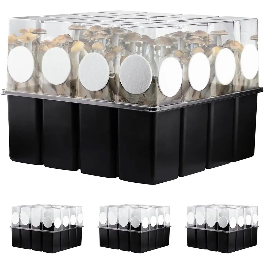 3 Set Mushroom Grow…