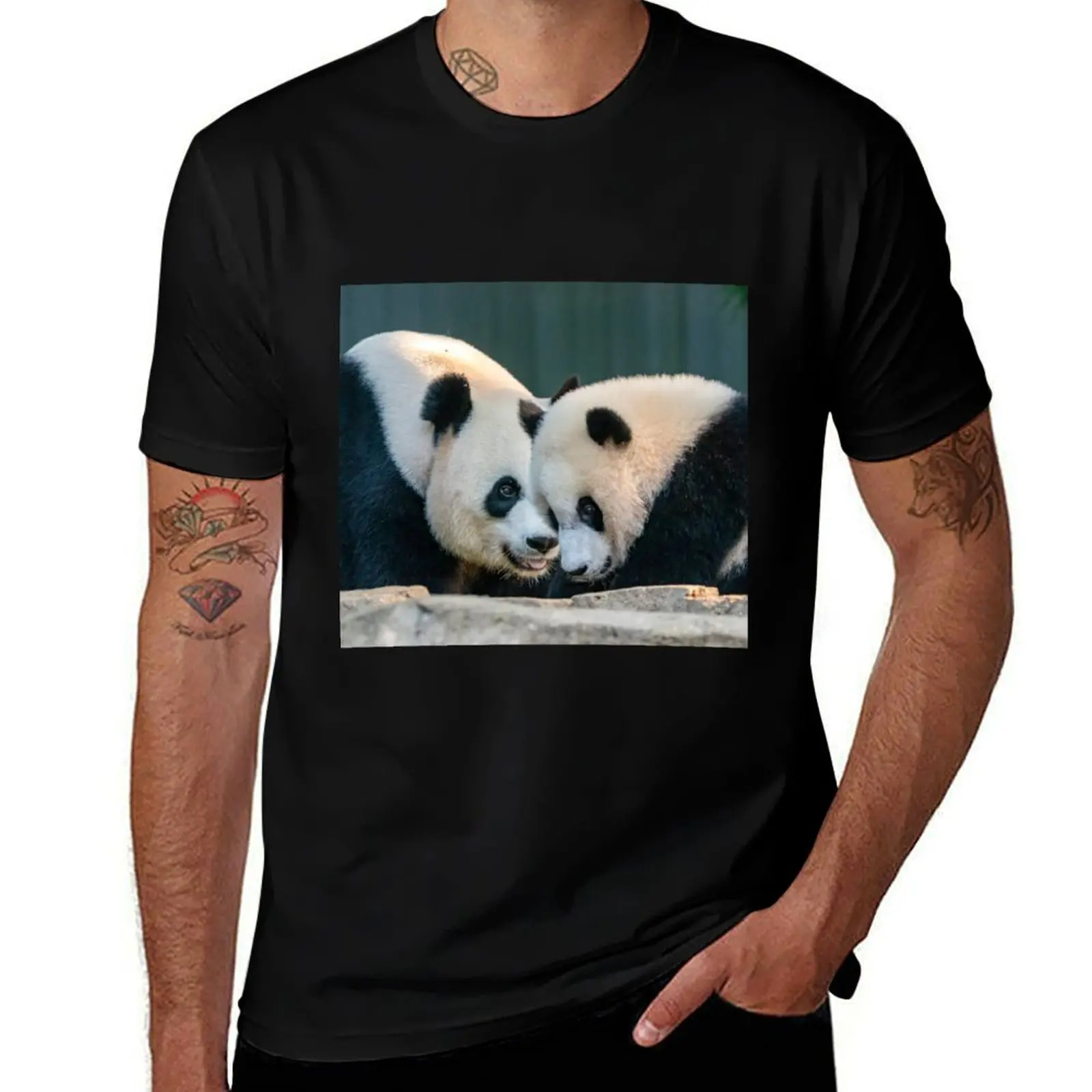 Mei Xiang And Xiao … - image