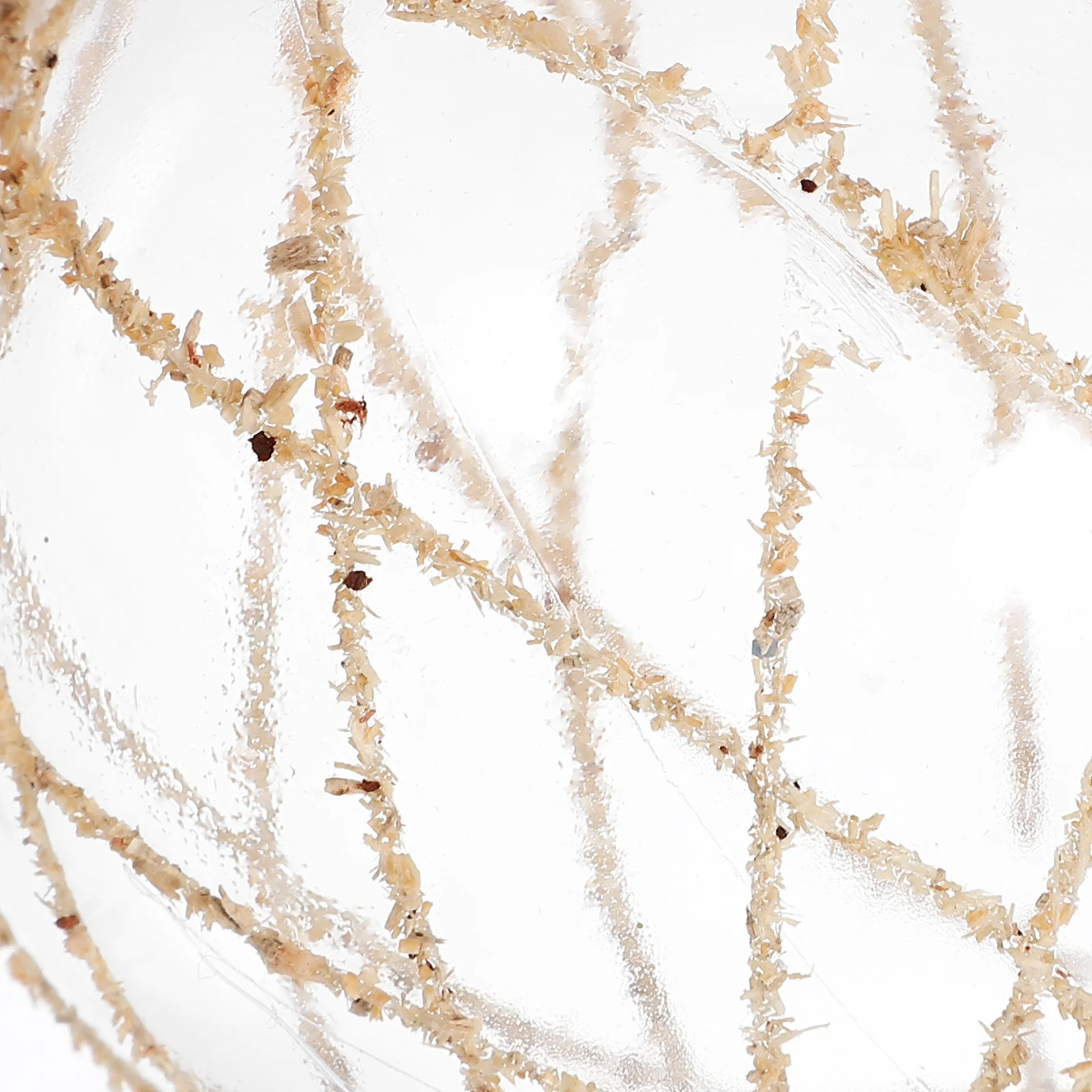 

6Pcs Christmas Ball Ornaments Clear Baubles Hanging Tree Pendant Break Resistance Photo Prop Unforgettable Memory