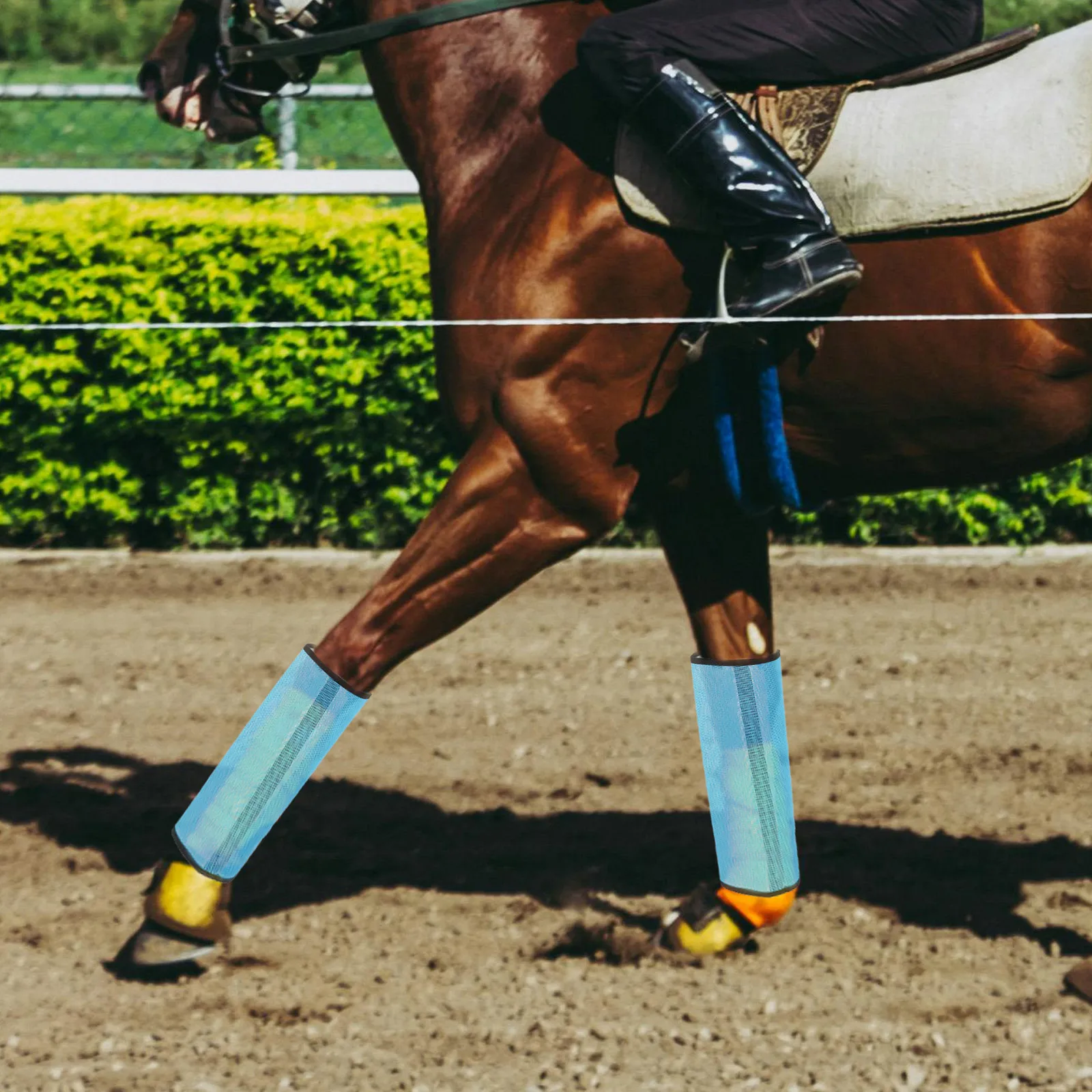 

4pcs Leg Protection Net Cover Breathable Mesh Horse Boots Support Bars Durable Horse Mesh Leg Cover For All Horses