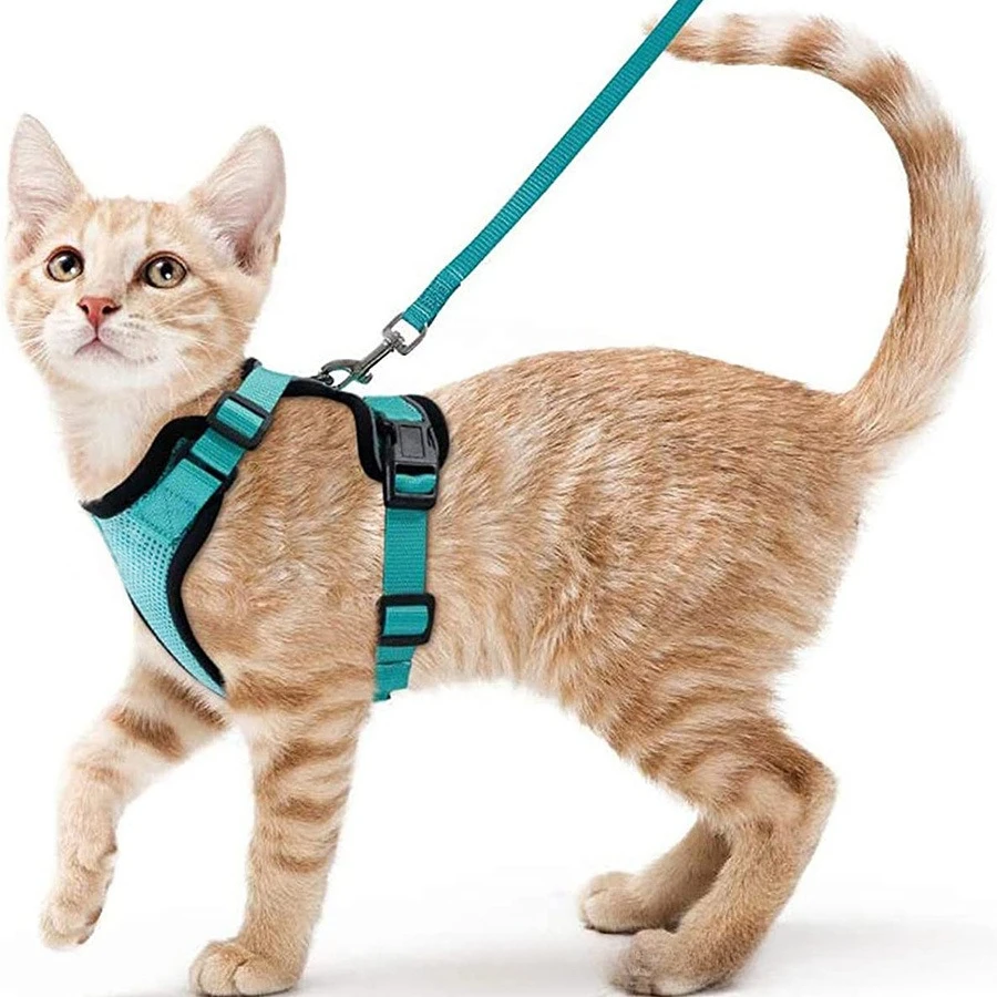 

Pet supplies breathable chest straps for cats reflective anti slip walking rope traction rope and small chest straps for dogs