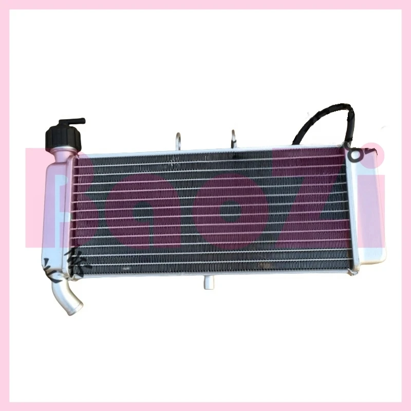 Water Tank Radiator Assembly for Zonsen Aprilia Gpr125 Gpr150 Apr150-v Universal