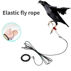 Birds Use Light Flying Ropes To Raise Myna, and White-necked Crows Go Out To Pull The Bird-walking Rope Without Hurting The Foot