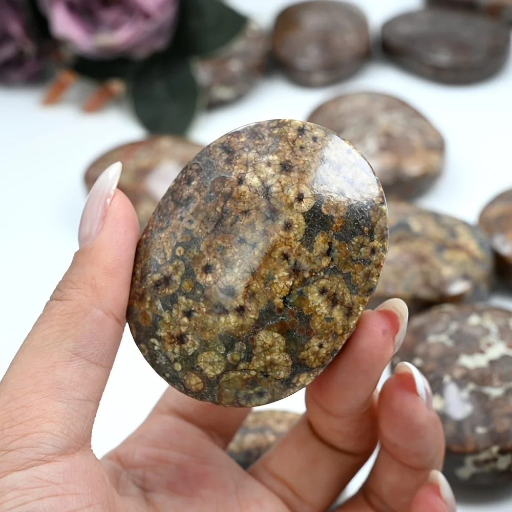 Random Natural Dandelion Agate Palm Stone, Loose Gemstones, Polished Crystal Palm Stone with Unique Patterns Like Dandelion