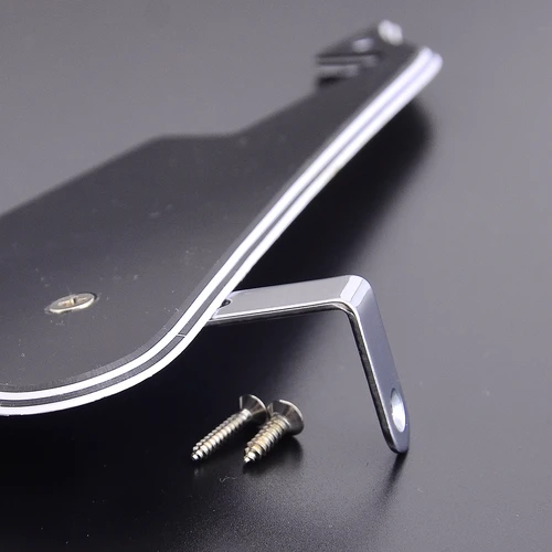 Imagen 2 del producto 【Hecho en Corea】 Golpeador original genuino Epi-phone Les-Paul / Protector de selección personalizado estándar