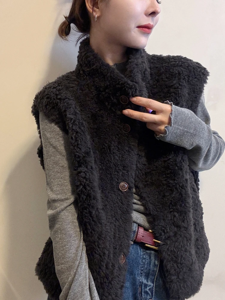 Faionable Lamb Fur Vest Women's Autumn Winter Thiened Svel Jaet Outerwear ort Top Layering Sle Stand Fit P...