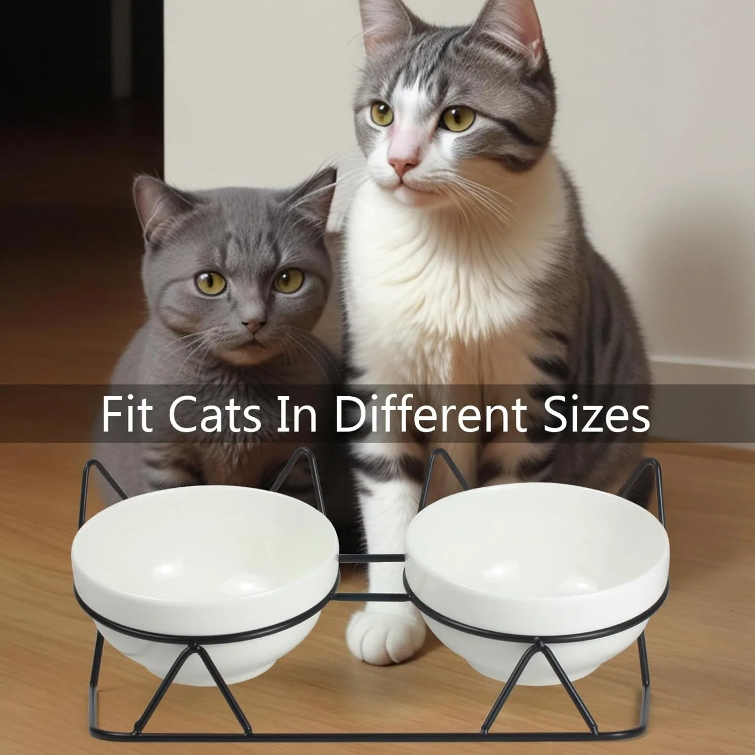 Elevated Cat Food and Water Bowl Set Raised Ceramic Cat Bowls Tilted Anti Vomiting Feeding Dishes for Indoor Cats and Kittens