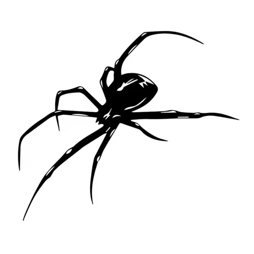 Spider Web Gothic Pattern Vinyl Decal, Mysterious Style Sticker for SUV Truck Van Laptop, Waterproof Auto Exterior Decor