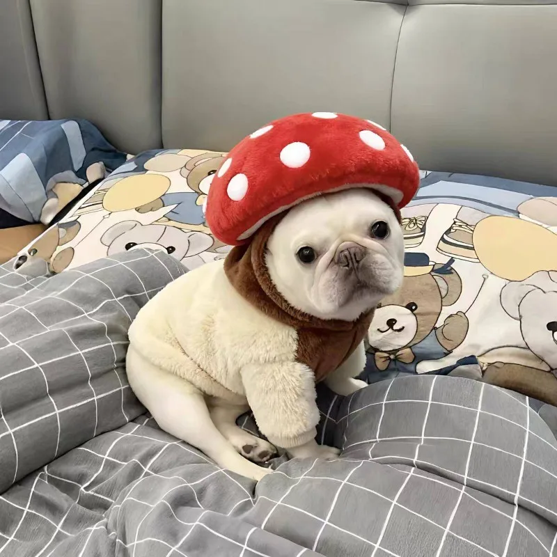 2026 New Creative Plush Mushroom Dog Hat Winter Warm Pet Headwear Cute Cosplay Costume Cap for Small Medium Large Dogs