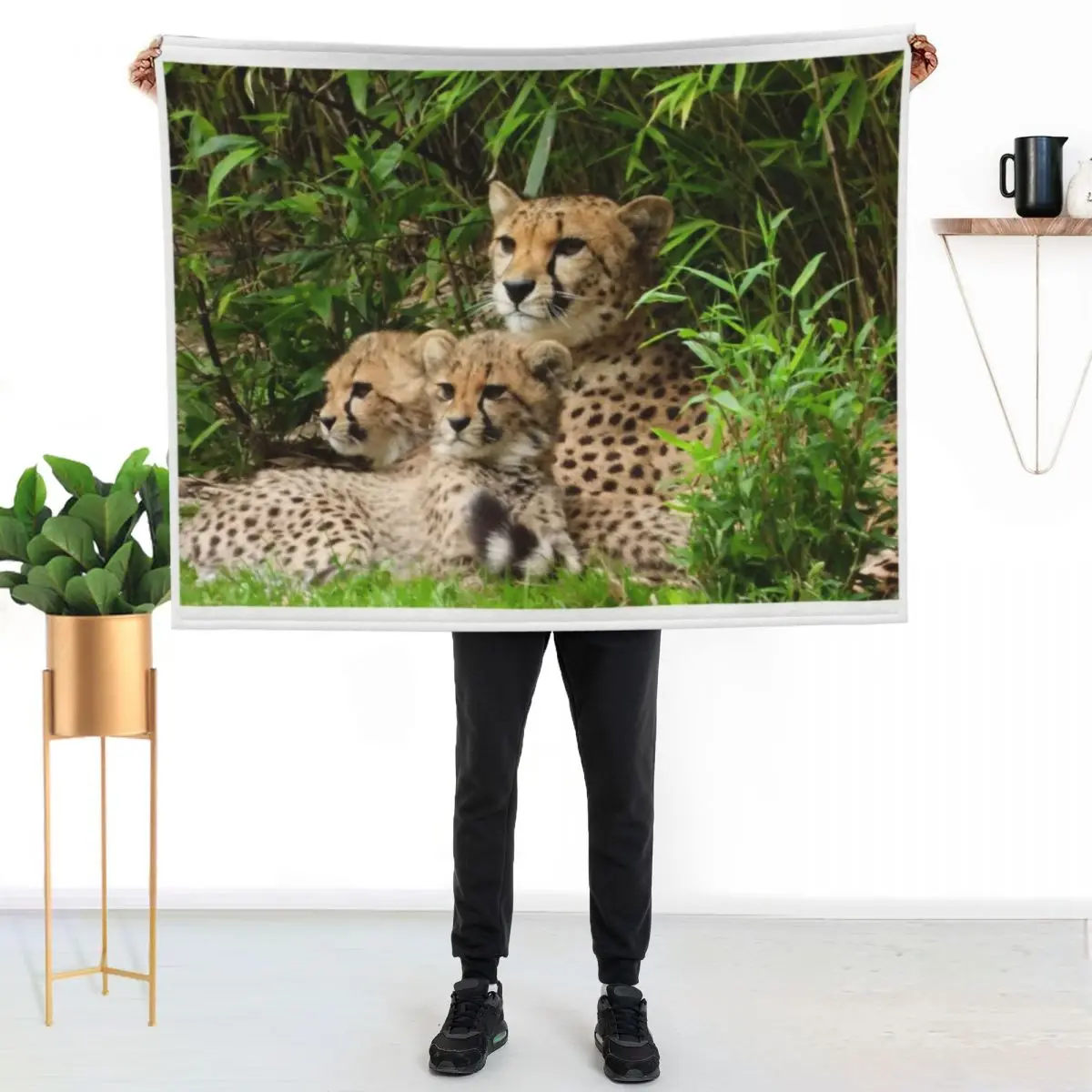 A Beautiful Cheetah…