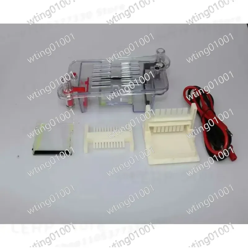 for Horizontal Gel Electrophoresis Chamber Advanced Biology Lab Equipment Modern Curriculum Molecular Analysis Educational