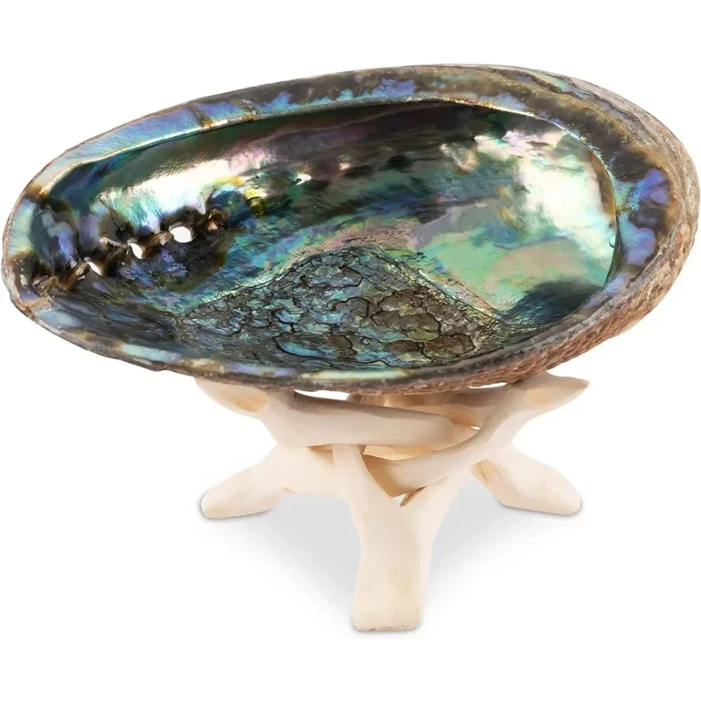 

Natural Abalone Shell Large with Wooden Stand Incense Holder and Sage Smudge Bowl for Cleansing Smudging Meditation Palo Santo