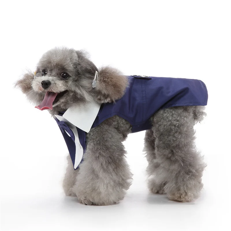 Luxuriöses Herren-Haustierkostüm für kleine Hunde – Hochwertiger Welpen-Frackanzug für Chihuahua, Malteser und andere Haustiere – Hochzeitskleidung – Detail 8