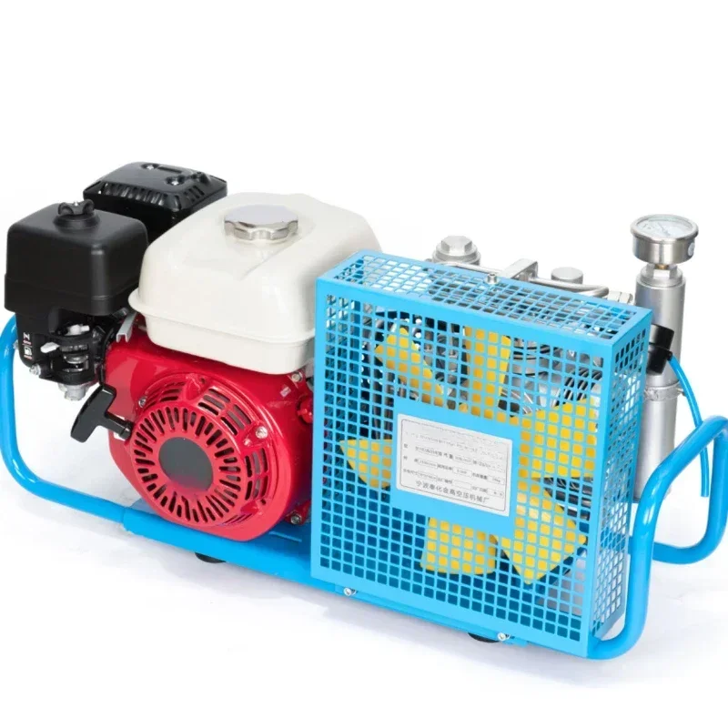 

Mini Portable 100L 5.5HP Mini Air Compressors Gasoline Compressor