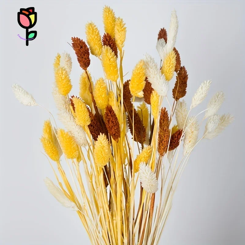 

90pcs Dried Flowers Phalaris Bouquets Bohe Home Table Decor Natural Jewelry Gem Grass Vase Arrangement Pampas Wedding Decoration