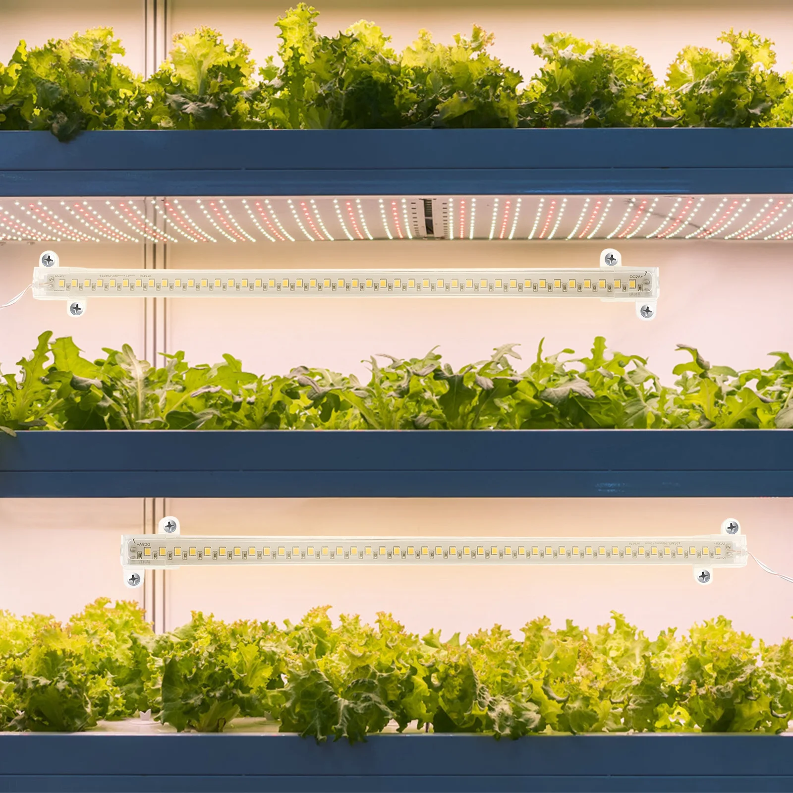 Indoor Plant Growth Lights Full LED Grow Light Strip Multiple Power Sources Durable Easy Installation Various Modes