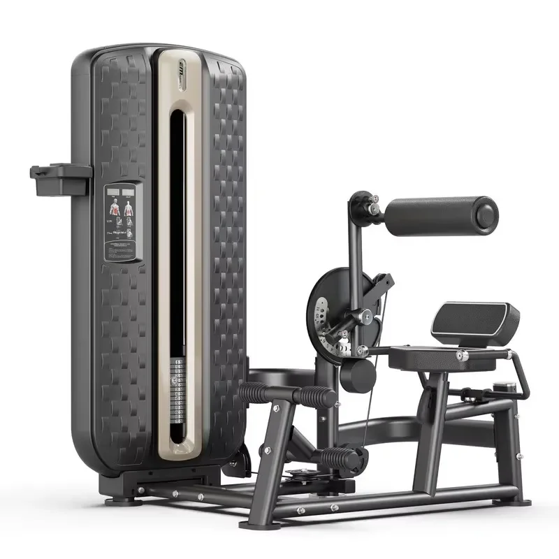Gym Dual-purpose steel waist and abdomen trainer Multifunctional professional fitness equipment Commercial body sculpting