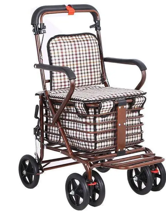 carrello-spesa-portatile-per-anziani-saliscale-leggero-a-quattro-ruote-pieghevole-per-il-tempo-libero-per-la-spesa-di-alimenti