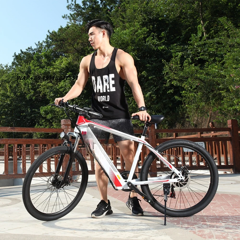 SAMEBIKE SH26 Electric Bike 1