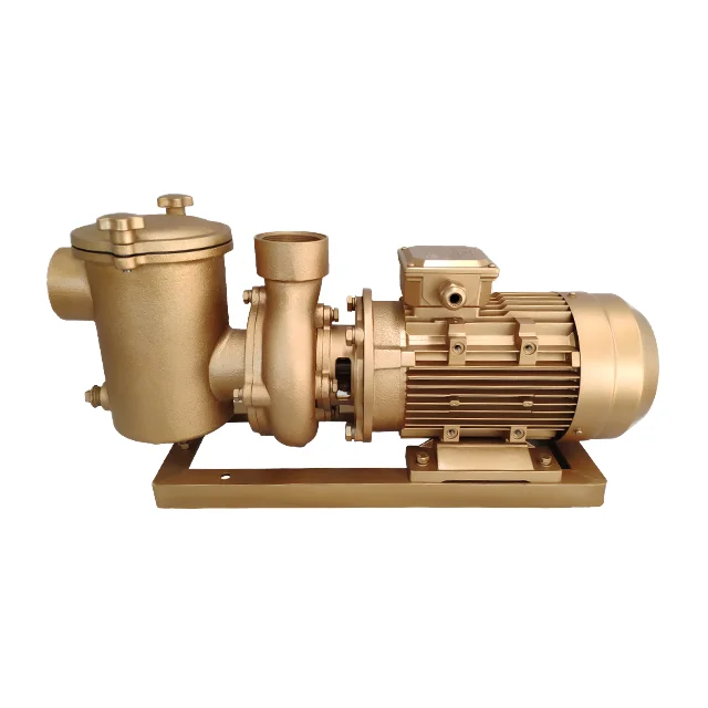 Electric 5hp 380v Copper Swimming Pool Water Pump With Brass Filter Heat Pump For Pool Use