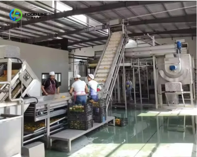Customized Automatic Complete Fruit Juice Production Line New Condition Apple Juice Making Machine with Bottle Filling Machine